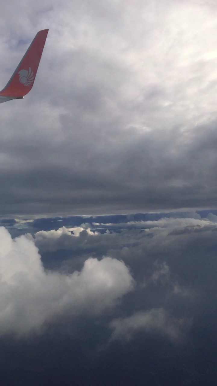 flight |