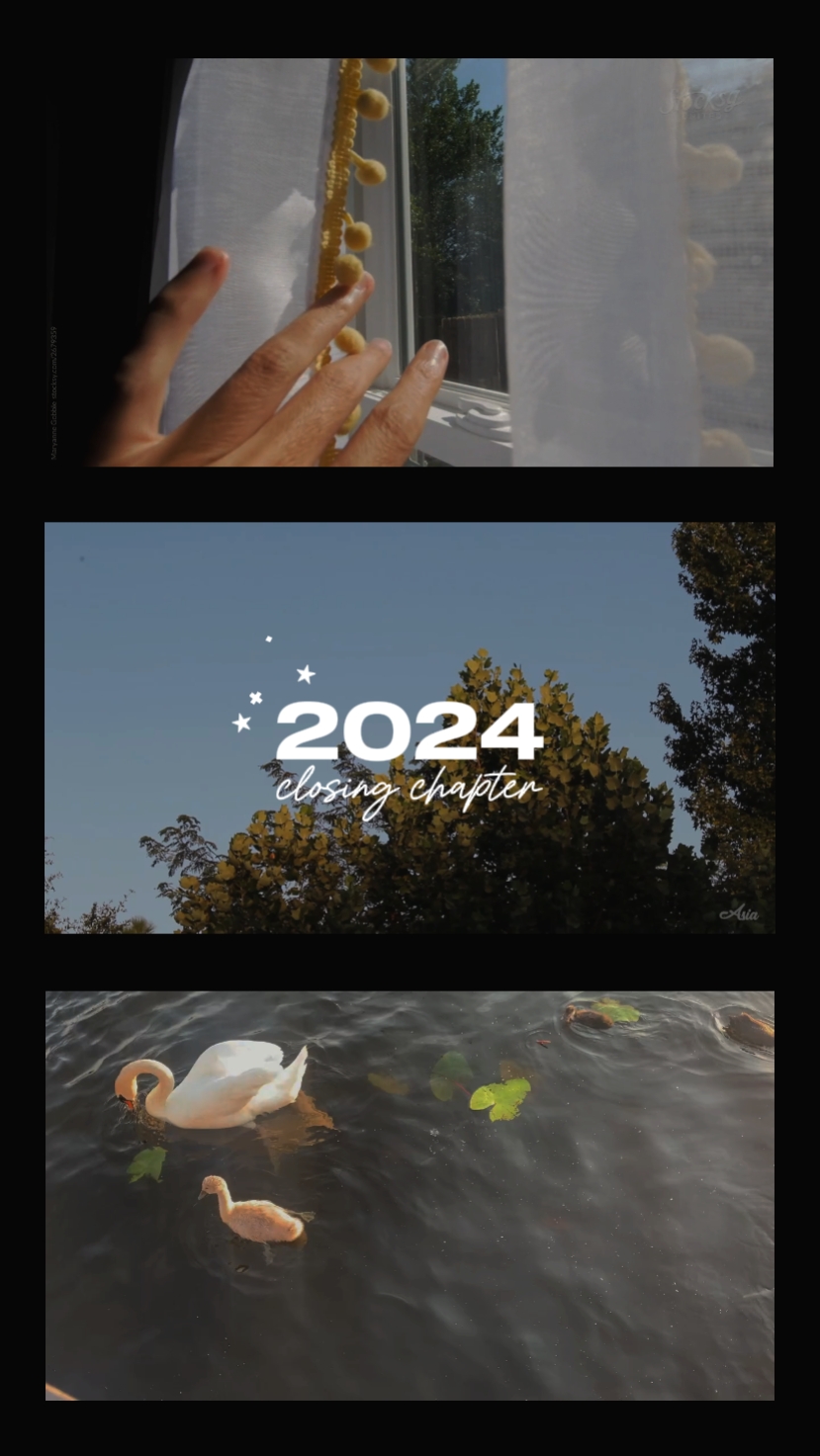 Capítulo de cierre de 2024