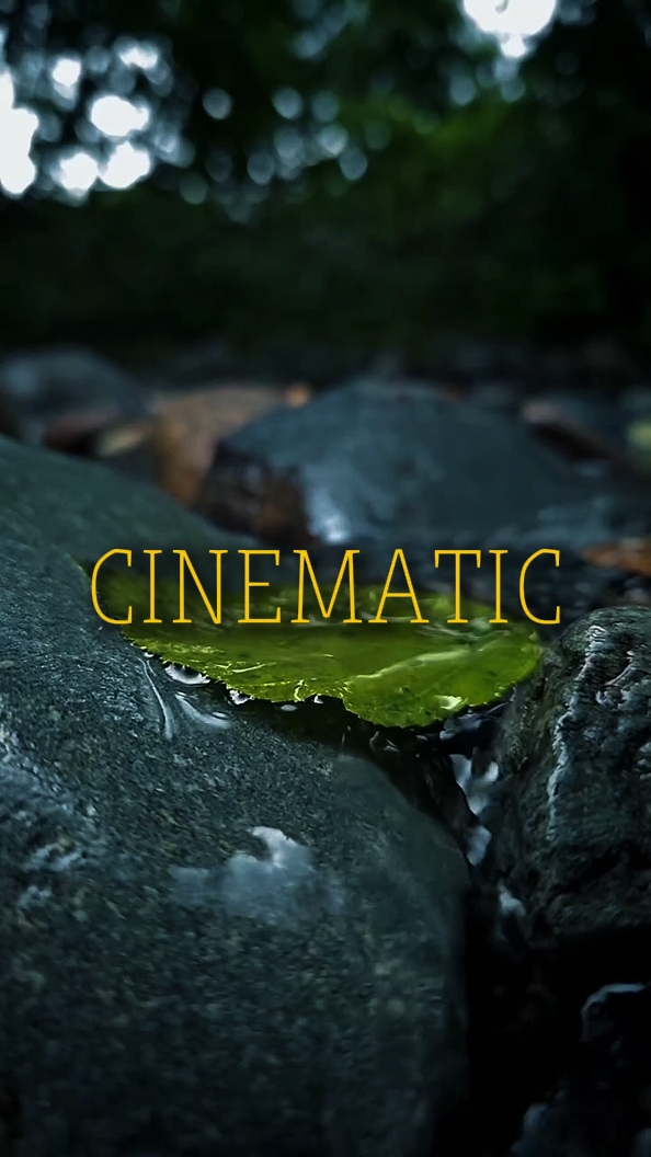 CINÉMATIQUE 6 VIDÉOS