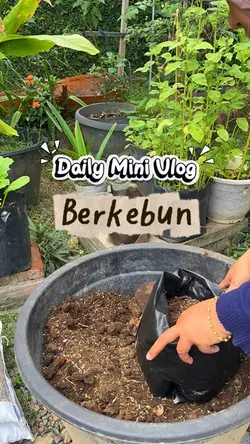 Vlog Berkebun 🪴