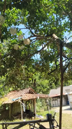 cinematic sepeda
