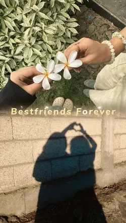 Best friend forever