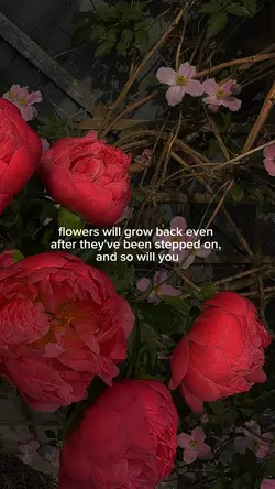 Flowers grow back๐ท