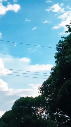 1 video 5 foto 