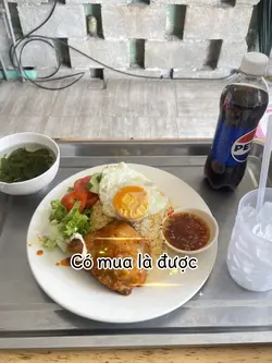 Mẫu F&B 23