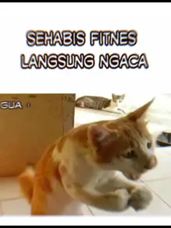 Gym JJ