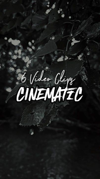 6 videoclipes 
