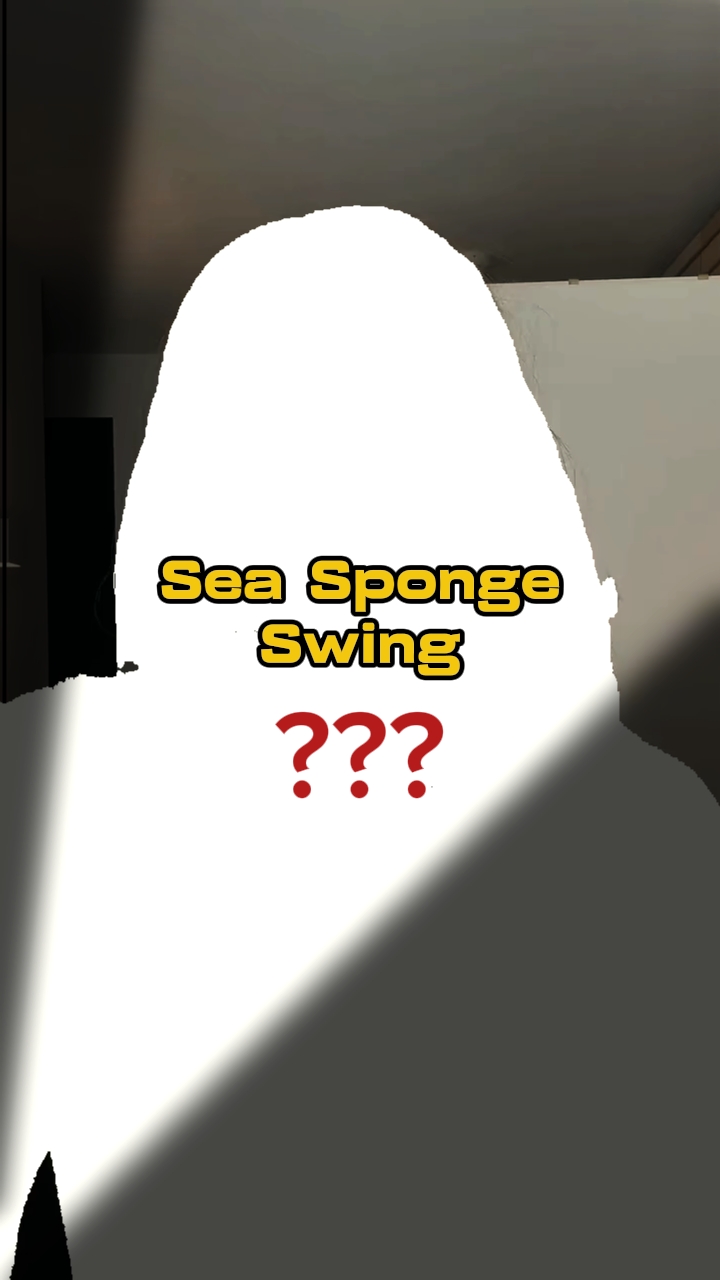 Sea Sponge Swing