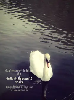 ไลฟ์โฟโต้