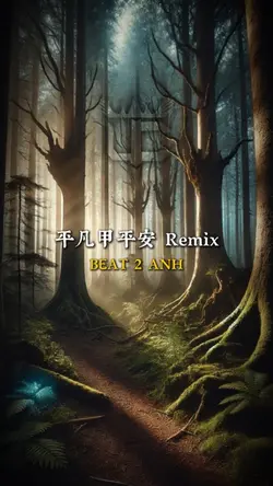 平凡甲平安 Remix