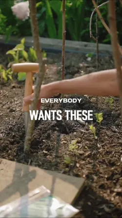 gardening
