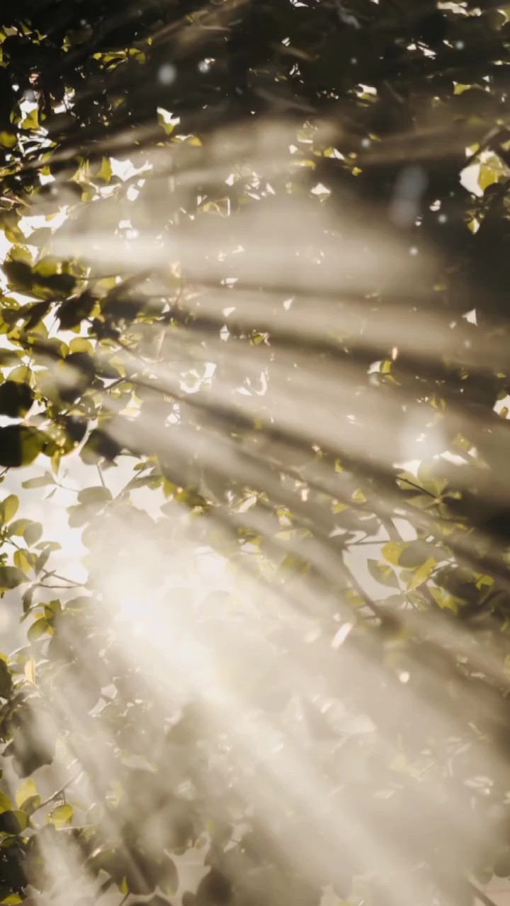 បើសិនថ្ងៃនេះ