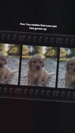 Your pet’s grown up