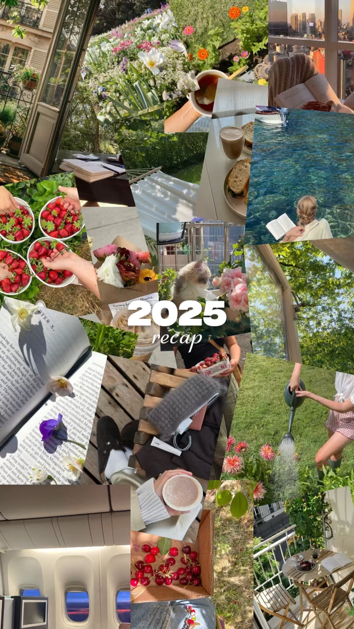 2025 요약 