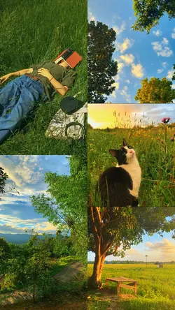 5 Pic Nature 
