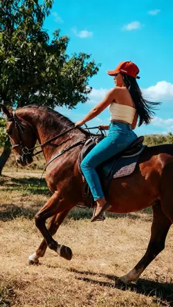 Cavalo