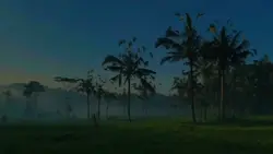 hari raya