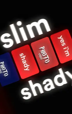 The Real Slim Shady 