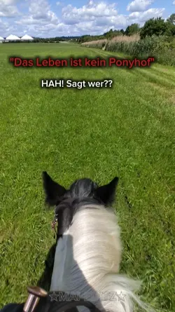 Ponyhof!!!