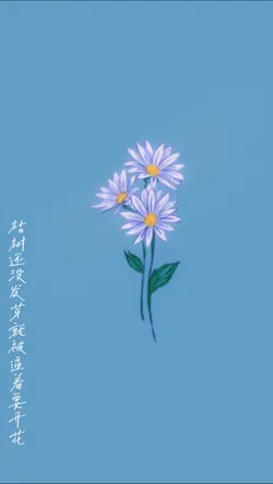 做自己的光 不需要太亮