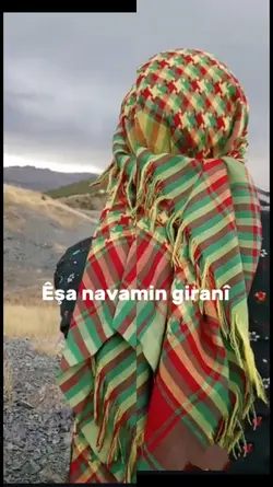 Yeni şablon