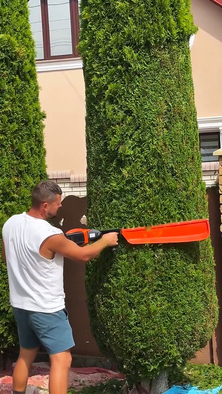 Jardinagem