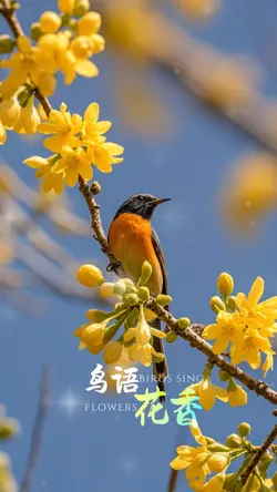 四季之美