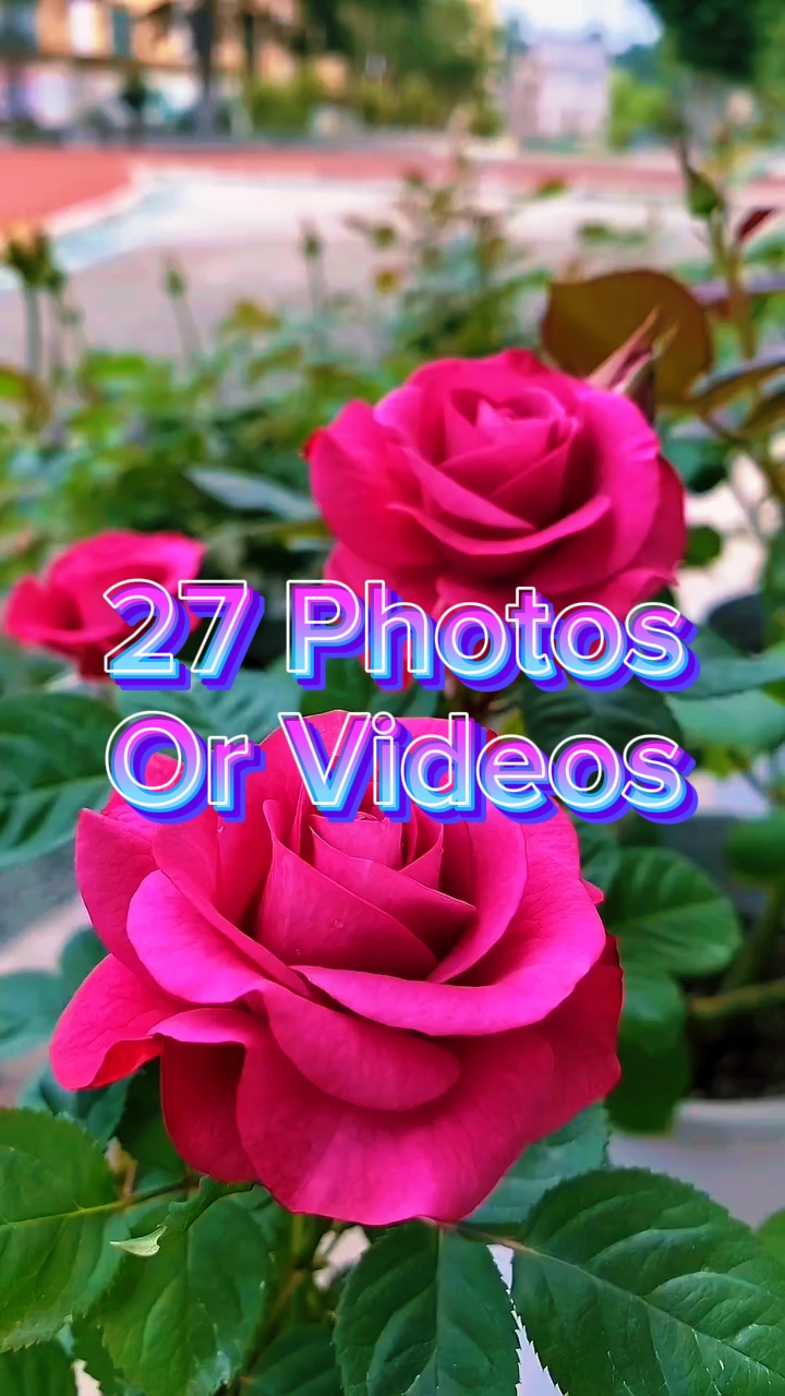 27 Diapositivas de video