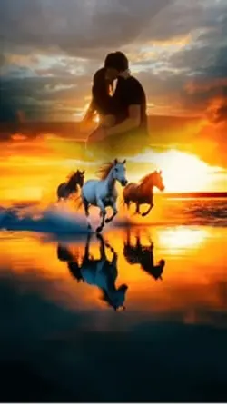 Horses