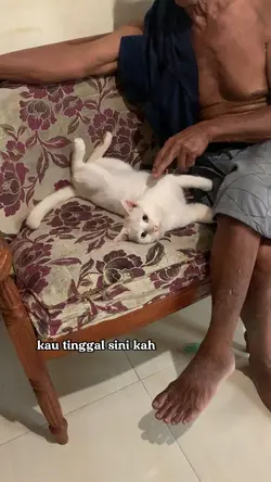 Kau tinggal sini kah