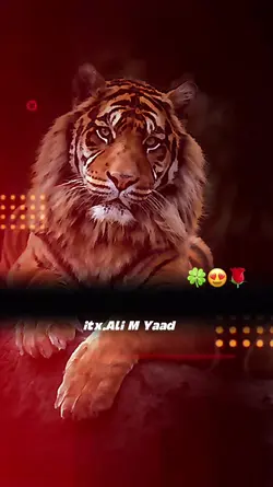 چي دچاپلارژوندي..