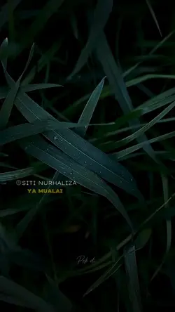 Ya Mualai/Siti