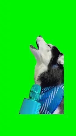 Singing Dog Meme