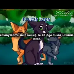 skrzydlate ręce wojo