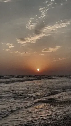 Yeni Şablon 