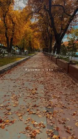 Autumn vibes