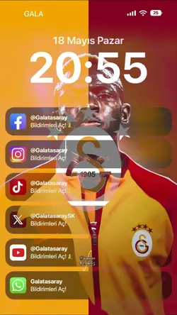 Şampiyon Galatasaray