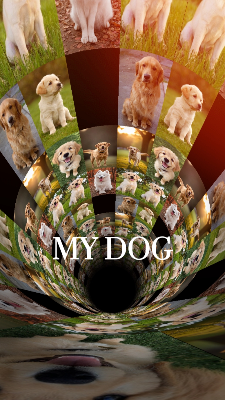Ang aking DOG