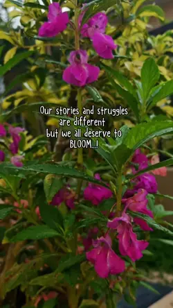 Blooming 