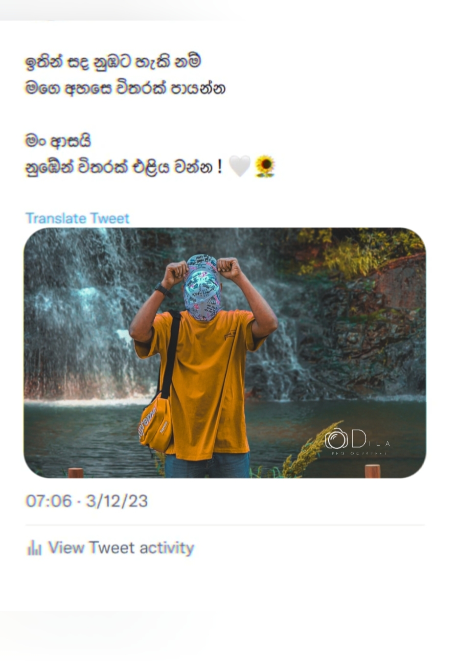 Cover Picture