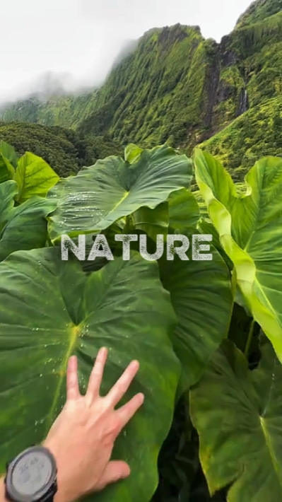 nature 4 clip