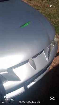 wash your ass today