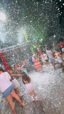 Traipu folia