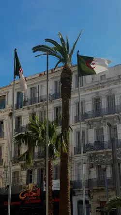 VIVA L'ALGÉRIE !!