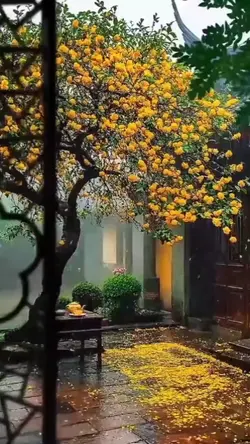mentahan