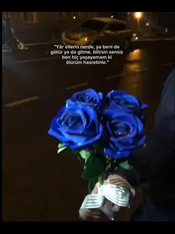 bilirsinamagelmezsin