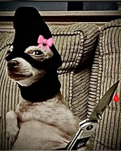 Bestie Gangster 