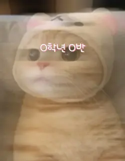 O학년 O반 1년 동안 즐거웠어