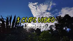 3 CLIPS VIDEO 