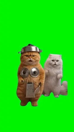 Cats